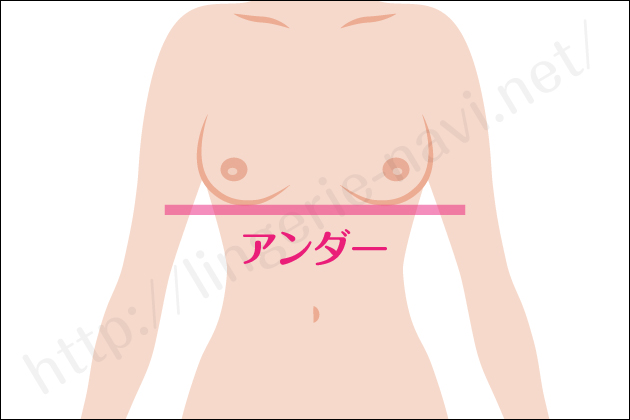 �u���W���[�̎��������Ȑl�͎����ŃT�C�Y���v��ʔ̂��g�����I